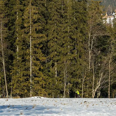 شقة W Malowniczej Dolinie Koscieliskiej By Rent Like